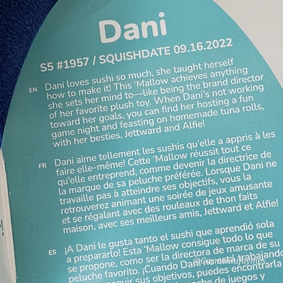 DANI 🐾 5" Blue Big Foot Original Squishmallow by Kelly Toy ☆ NWT ☆ - Picture 4 of 8